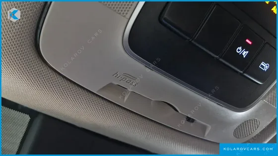 HYUNDAI SONATA 2.0 LPG(RENTAL CAR)