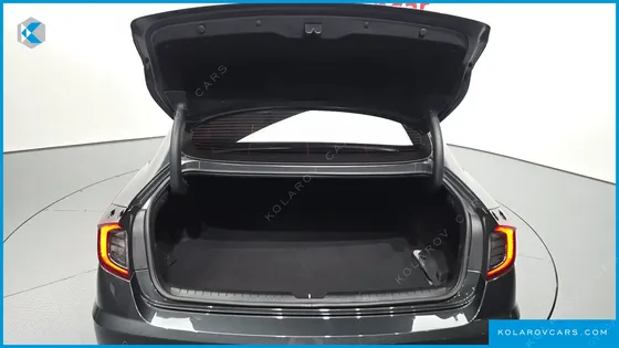 HYUNDAI SONATA 2.0 LPG(RENTAL CAR)