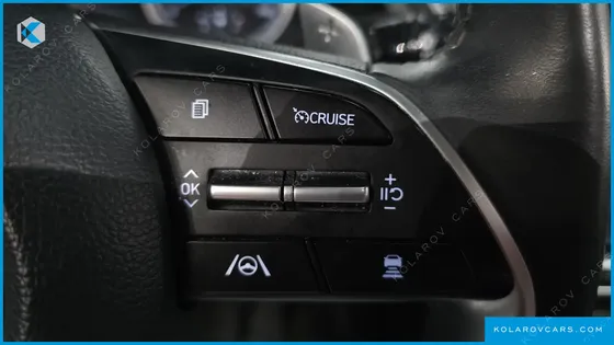 HYUNDAI SONATA 2.0 LPG(RENTAL CAR)