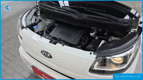 KIA RAY SIGNATURE