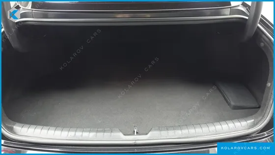 HYUNDAI SONATA 2.0 LPG(DISABLED PERSON)