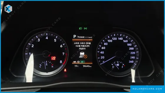 HYUNDAI SONATA 2.0 LPG(RENTAL CAR)