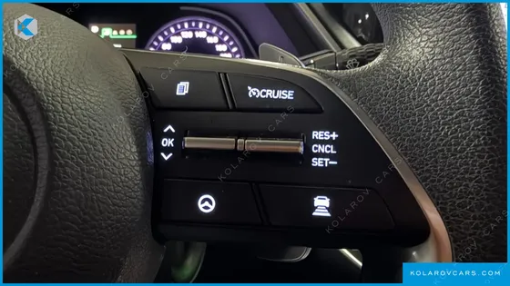 HYUNDAI SONATA 2.0 LPG(RENTAL CAR)