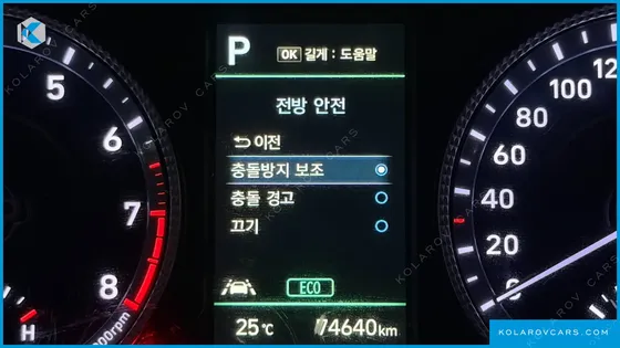 HYUNDAI SONATA 2.0 LPG(RENTAL CAR)