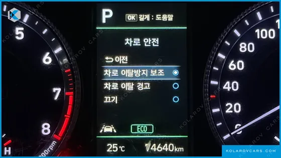 HYUNDAI SONATA 2.0 LPG(RENTAL CAR)