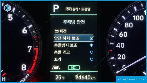 HYUNDAI SONATA 2.0 LPG(RENTAL CAR)