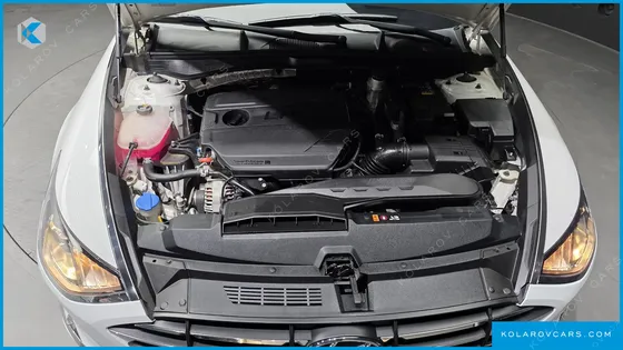 HYUNDAI SONATA 2.0 LPG(RENTAL CAR)