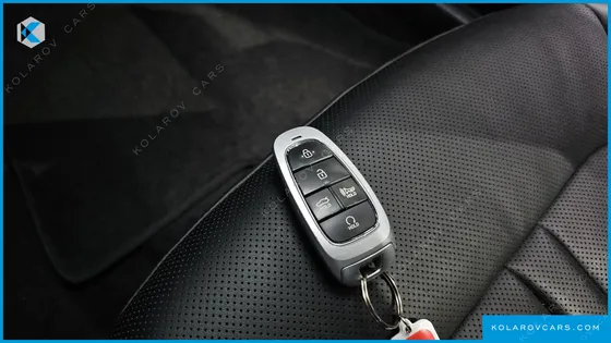 HYUNDAI SONATA 2.0 LPG(RENTAL CAR)
