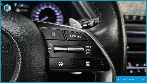 HYUNDAI SONATA 2.0 LPG(RENTAL CAR)