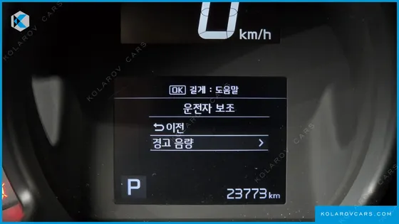 KIA RAY SIGNATURE