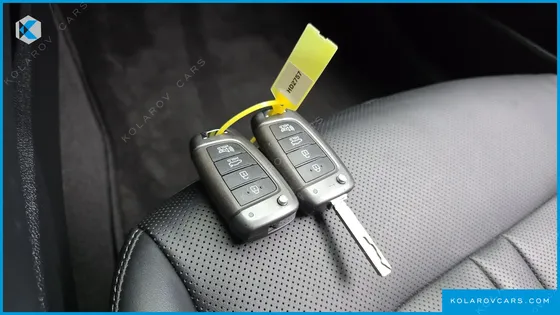 HYUNDAI SONATA 2.0 LPG(RENTAL CAR)