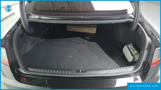 HYUNDAI SONATA 2.0 LPG(RENTAL CAR)