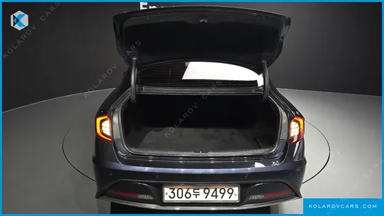 HYUNDAI SONATA 2.0 LPG(DISABLED PERSON)
