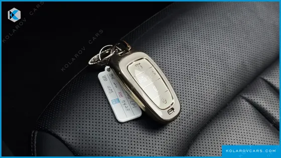 HYUNDAI SONATA 2.0 LPG(RENTAL CAR)