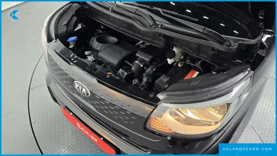 KIA RAY LUXURY