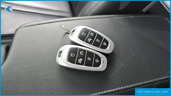 HYUNDAI SONATA 2.0 LPG(RENTAL CAR)