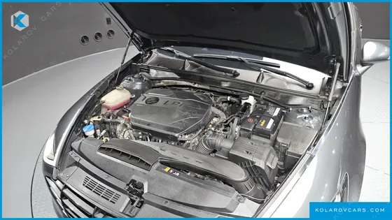HYUNDAI SONATA 2.0 LPG(DISABLED PERSON)