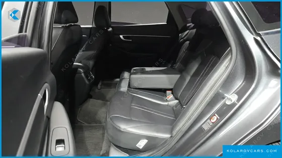 HYUNDAI SONATA 2.0 LPG(DISABLED PERSON)