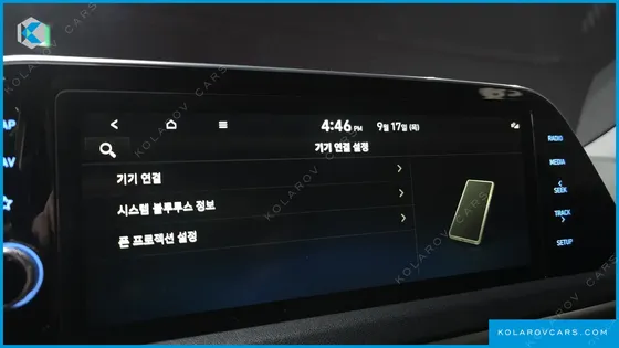 HYUNDAI SONATA 2.0 LPG(DISABLED PERSON)