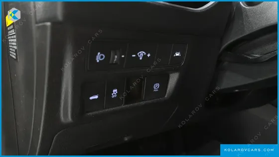 HYUNDAI SONATA 2.0 LPG(DISABLED PERSON)