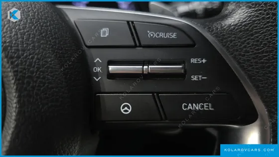 HYUNDAI SONATA 2.0 LPG(DISABLED PERSON)