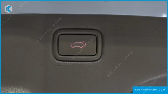 KIA CARNIVAL 9-SEATER NOBLESSE SPECIAL