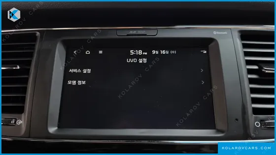 KIA CARNIVAL 9-SEATER NOBLESSE SPECIAL