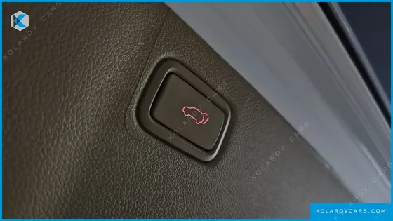 KIA CARNIVAL 9-SEATER NOBLESSE SPECIAL