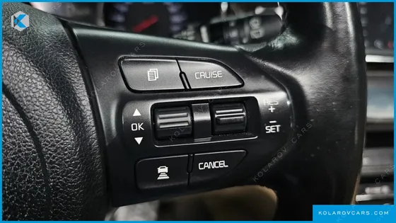 KIA CARNIVAL 9-SEATER NOBLESSE SPECIAL