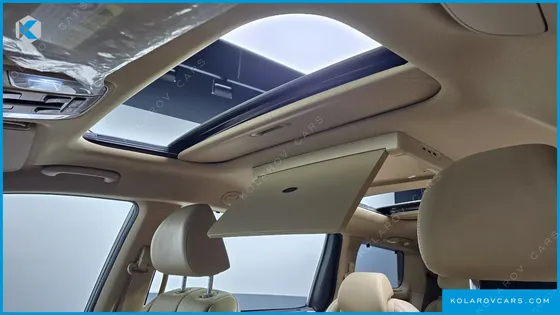 KIA CARNIVAL 9-SEATER NOBLESSE SPECIAL