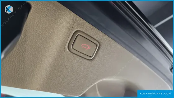 KIA CARNIVAL 9-SEATER NOBLESSE SPECIAL