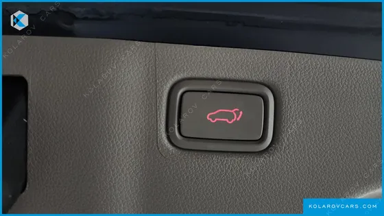KIA CARNIVAL 9-SEATER NOBLESSE SPECIAL
