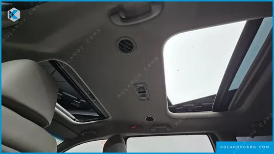 KIA CARNIVAL 9-SEATER NOBLESSE SPECIAL