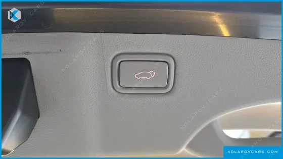 KIA CARNIVAL 9-SEATER NOBLESSE