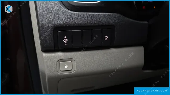 KIA CARNIVAL 9-SEATER LUXURY