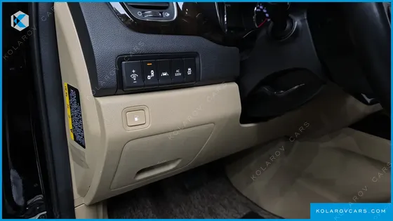 KIA CARNIVAL 9-SEATER NOBLESSE SPECIAL