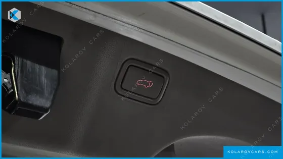 KIA CARNIVAL 9-SEATER NOBLESSE SPECIAL