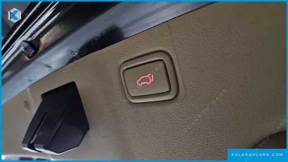 KIA CARNIVAL 9-SEATER NOBLESSE SPECIAL