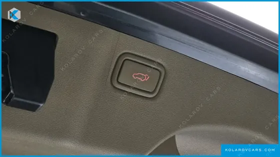 KIA CARNIVAL 9-SEATER NOBLESSE SPECIAL