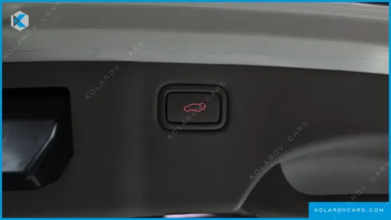 KIA CARNIVAL 9-SEATER NOBLESSE SPECIAL