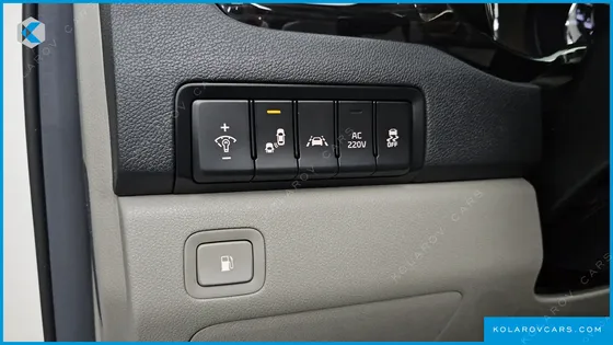 KIA CARNIVAL 9-SEATER NOBLESSE SPECIAL