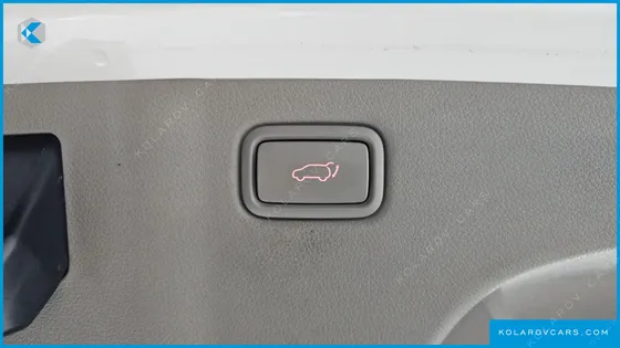 KIA CARNIVAL 9-SEATER NOBLESSE SPECIAL