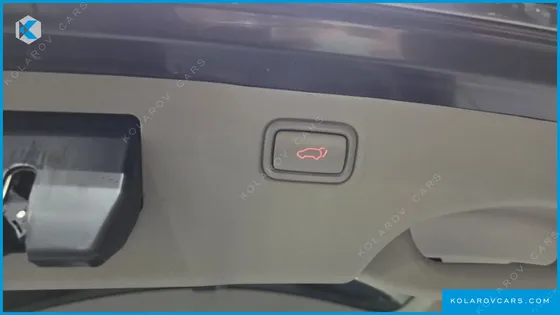 KIA CARNIVAL GASOLINE 9-SEATER NOBLESSE SPECIAL