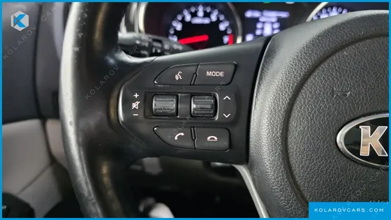KIA CARNIVAL GASOLINE 9-SEATER NOBLESSE SPECIAL
