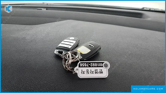 KIA CARNIVAL GASOLINE 7-SEATER LIMOUSINE