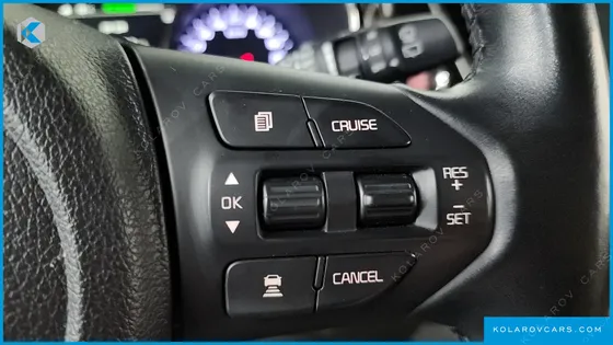 KIA CARNIVAL GASOLINE 7-SEATER LIMOUSINE