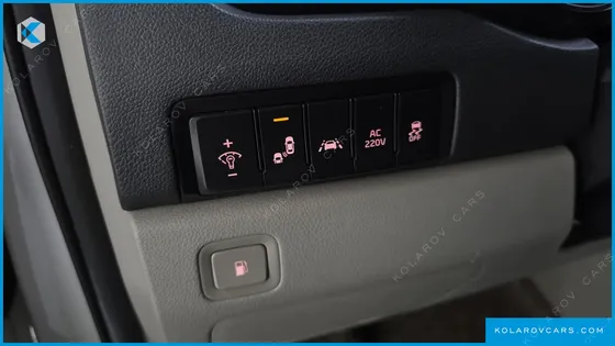 KIA CARNIVAL 9-SEATER NOBLESSE SPECIAL