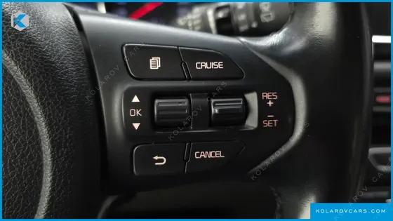 KIA CARNIVAL GASOLINE 9-SEATER NOBLESSE