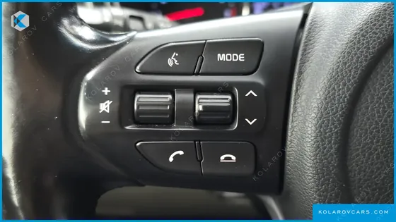KIA CARNIVAL GASOLINE 9-SEATER NOBLESSE