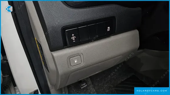 KIA CARNIVAL 9-SEATER LUXURY